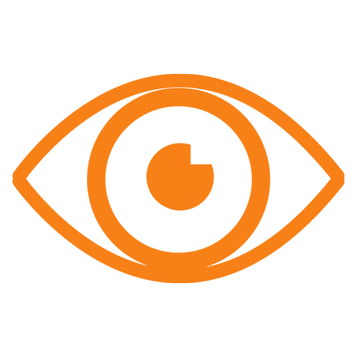 Our Vision 